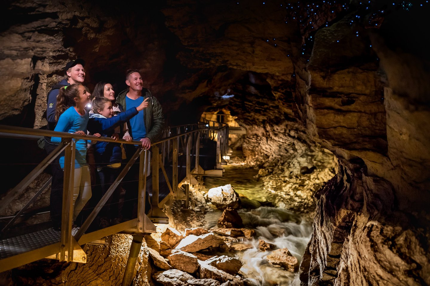 Te Anau Glowworm Caves Tour - Photo 1 of 10